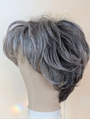 Raquel Welch Wig RL511 Sugar & Charcoal Avg Lace Front Heat Friendly
